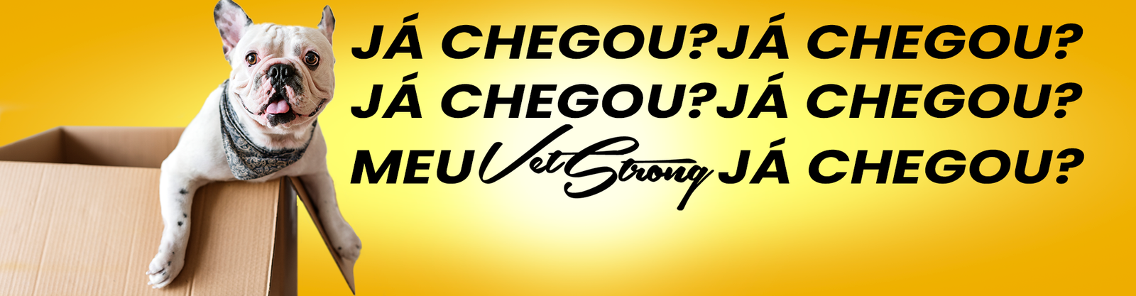 Banner 004 Site FULLSIZE